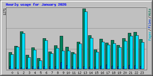 Hourly usage for January 2026